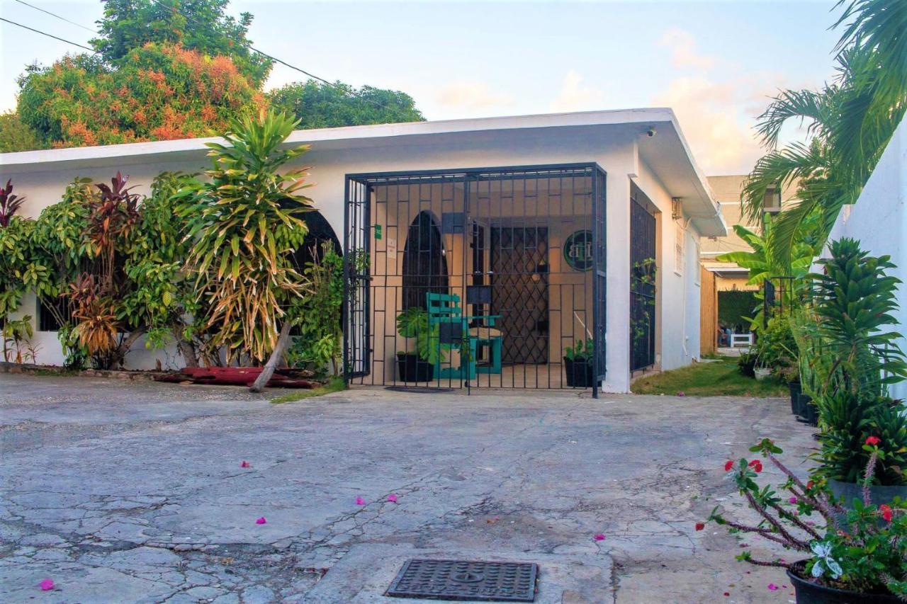 Eventuality B&B New Kingston Exterior foto